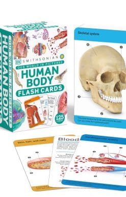 Our World in Pictures Human Body Flash Cards