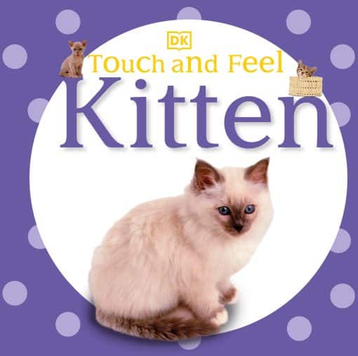 Touch and Feel: Kitten: