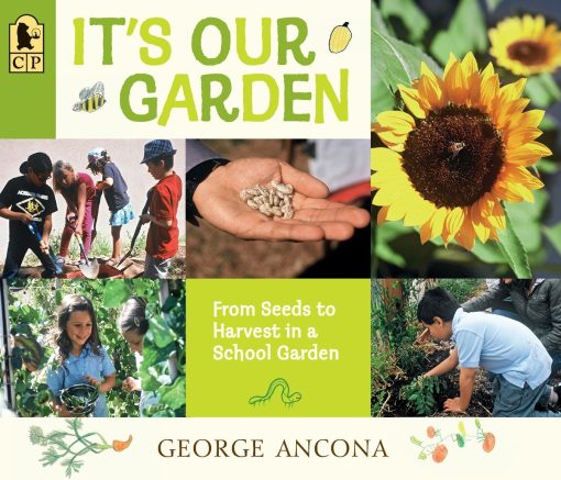 From Seeds to Harvest in a School Garden: It's Our Garden