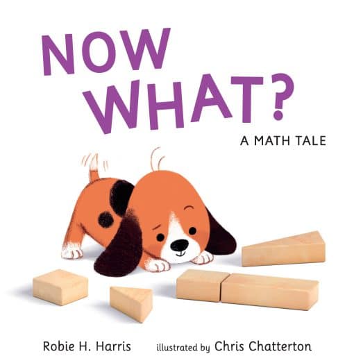 Now What? A Math Tale: