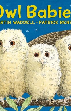 Owl Babies