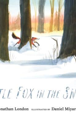 Little Fox in the Snow
