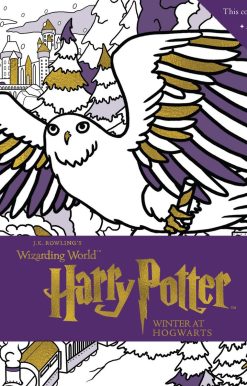 Harry Potter: Winter at Hogwarts: A Magical Coloring Set