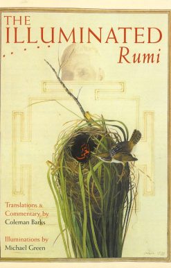 The Illuminated Rumi