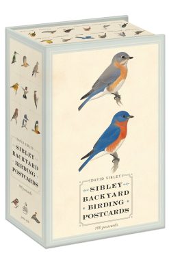 Sibley Backyard Birding Postcards: 100 Postcards