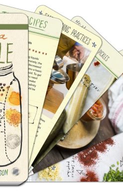 Pick a Pickle: 50 Recipes for Pickles, Relishes, and Fermented Snacks: A Cookbook