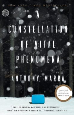 A Novel: A Constellation of Vital Phenomena