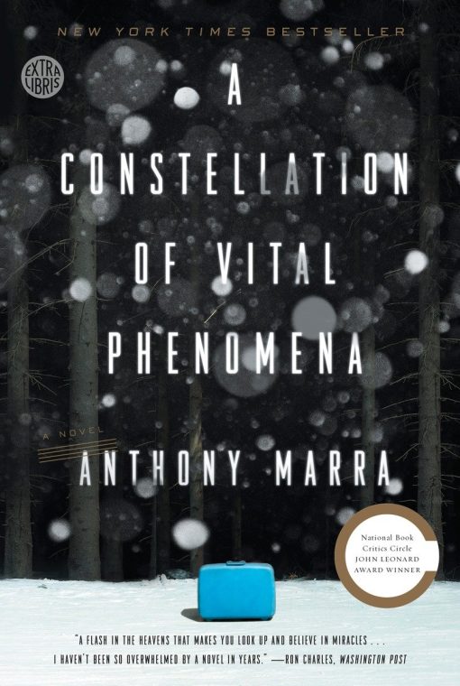 A Novel: A Constellation of Vital Phenomena