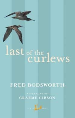 Last of the Curlews