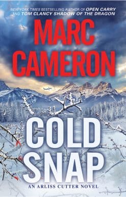 Cold Snap: An Action Packed Novel of Suspense