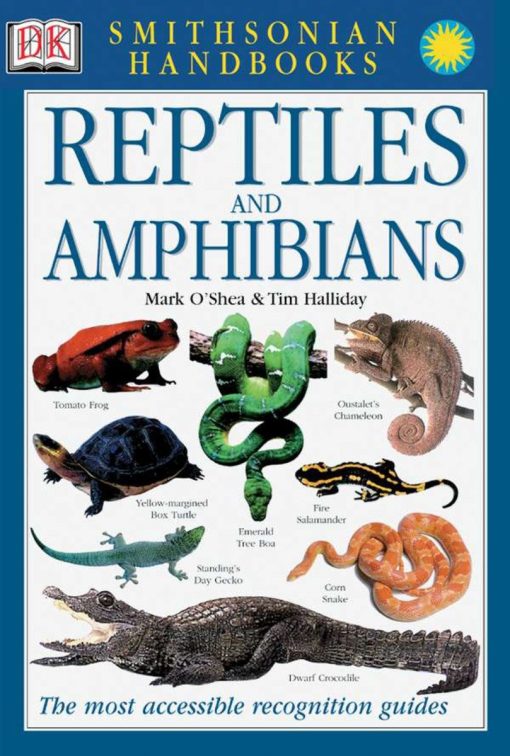 Reptiles & Amphibians: The Most Accessible Recognition Guide