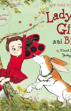 Ladybug Girl and Bingo