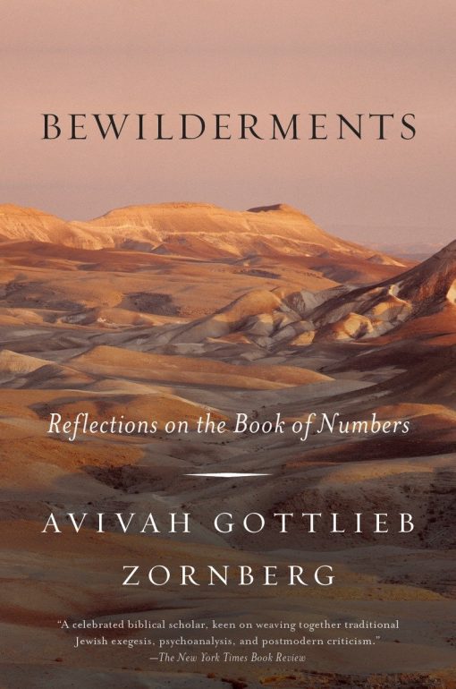 Reflections on the Book of Numbers: Bewilderments