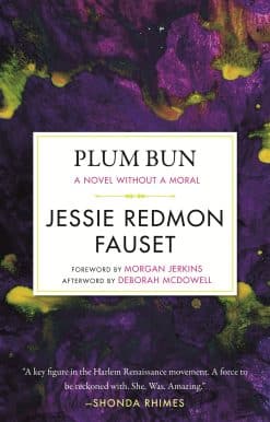 Plum Bun: A Novel without a Moral