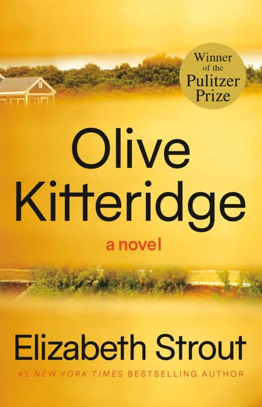 Olive Kitteridge: Fiction