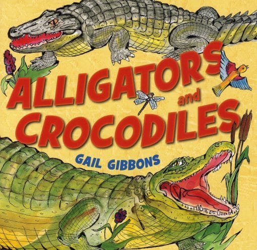 Alligators and Crocodiles