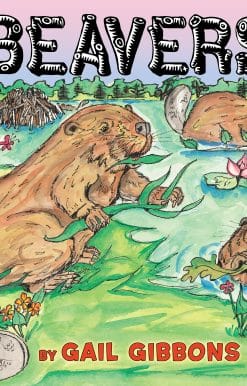 Beavers