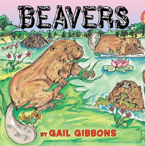 Beavers: