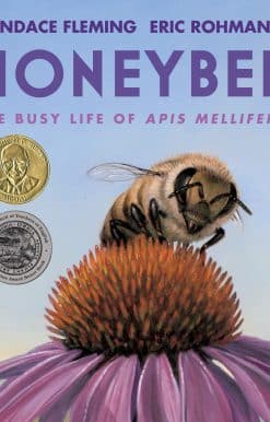 The Busy Life of Apis Mellifera: Honeybee