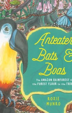 Anteaters, Bats & Boas: The Amazon Rainforest from the Forest Floor to the Treetops