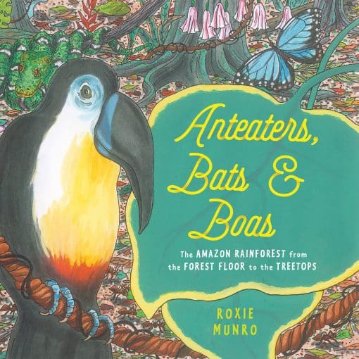 Anteaters, Bats & Boas: The Amazon Rainforest from the Forest Floor to the Treetops