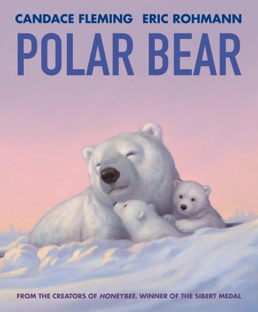 Polar Bear: