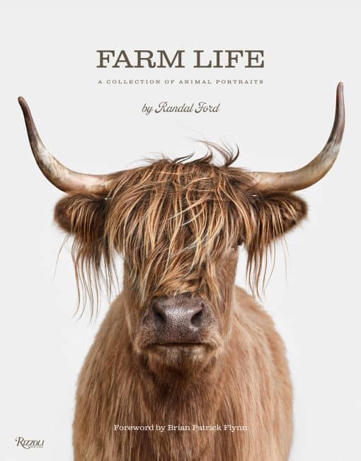 A Collection of Animal Portraits: Farm Life