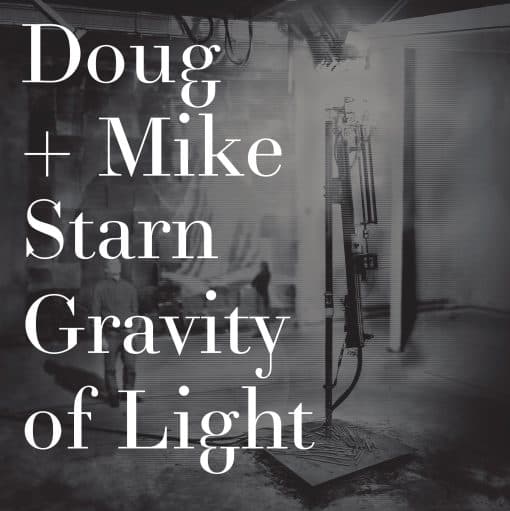 Doug and Mike Starn: Gravity of Light