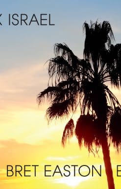 Alex Israel Bret Easton Ellis