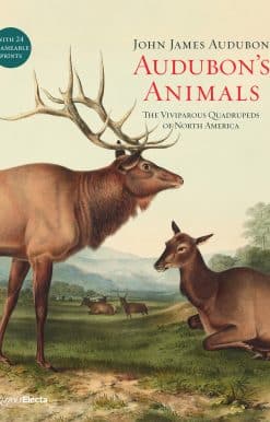 Audubon's Animals: The Viviparous Quadrupeds of North America