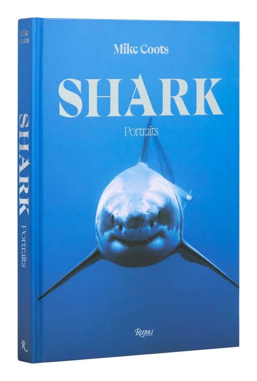 Shark: Portraits