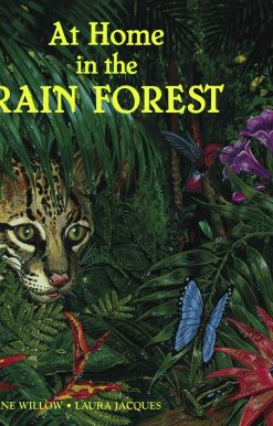 At Home in the Rain Forest