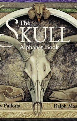 The Skull Alphabet Book