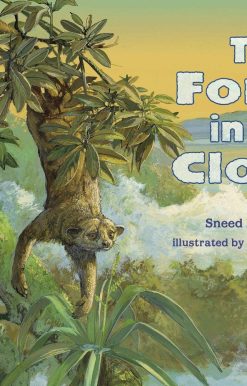 The Forest in the Clouds