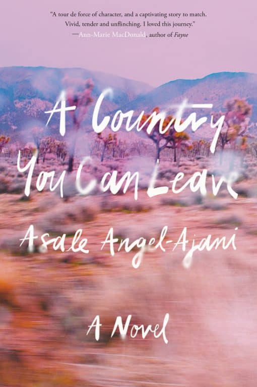 A Novel: A Country You Can Leave