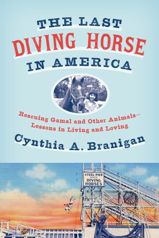 Rescuing Gamal and Other Animals--Lessons in Living and Loving: The Last Diving Horse in America