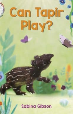 Can Tapir Play? (Little Loves)
