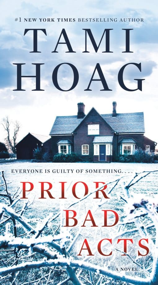 A Novel: Prior Bad Acts