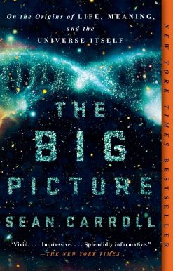 The Big Picture: On the Origins of Life, Meaning, and the Universe Itself