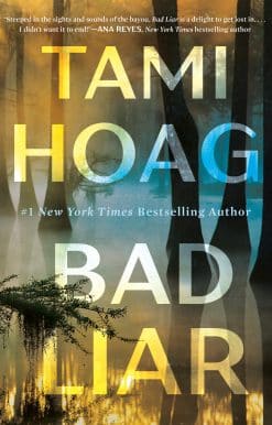 Bad Liar: A Novel