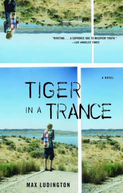 Tiger in a Trance: A Novel