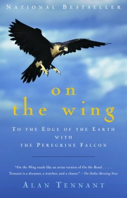 To the Edge of the Earth with the Peregrine Falcon: On the Wing