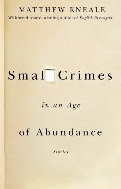 Small Crimes in an Age of Abundance:
