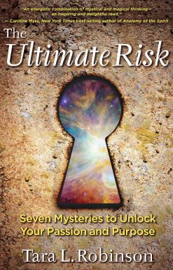 The Ultimate Risk: Seven Mysteries to Unlock Your Passion and Purpose