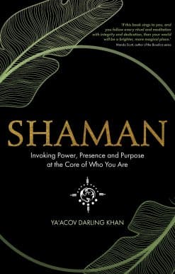 Shaman: Invoking Power, Presence and Purpose at the Core of Who You Are