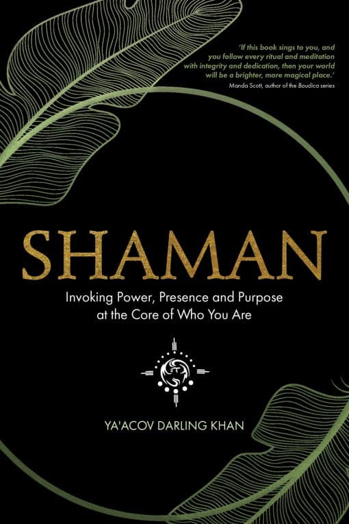 Shaman: Invoking Power, Presence and Purpose at the Core of Who You Are