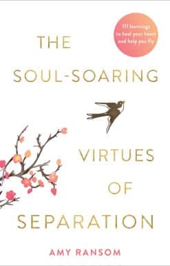 111 Learnings to Heal Your Heart and Help You Fly: The Soul-Soaring Virtues of Separation