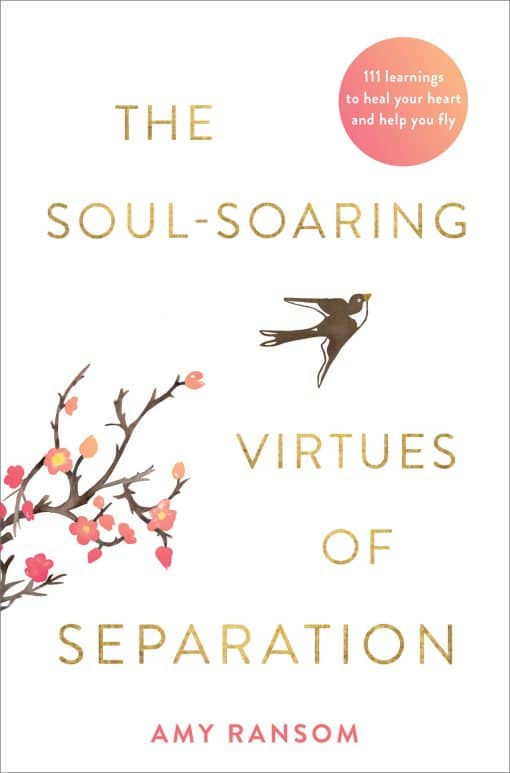 111 Learnings to Heal Your Heart and Help You Fly: The Soul-Soaring Virtues of Separation