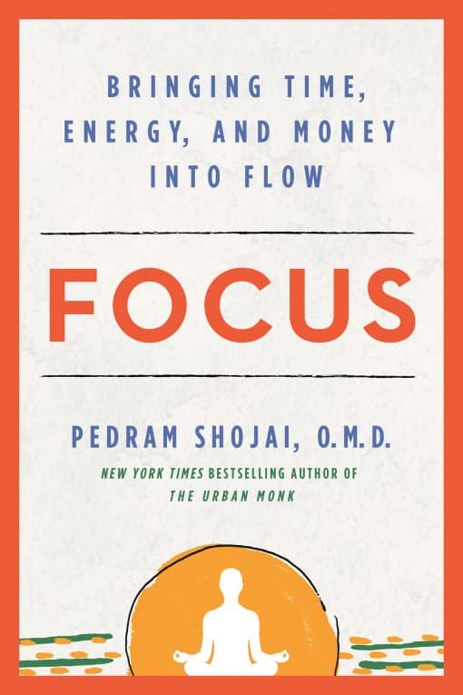 Focus: Bringing Time, Energy, and Money into Flow