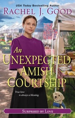 An Unexpected Amish Courtship